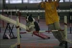 IMG_0270