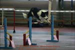 IMG_0277
