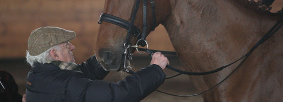 www.equestrian.ru