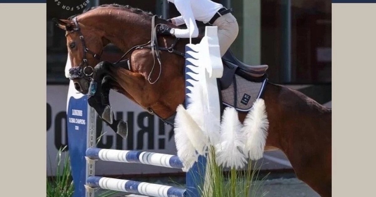 Спорт амуниция