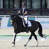 ВЕСТФАЛЬСКАЯ КОБЫЛА НА СП1