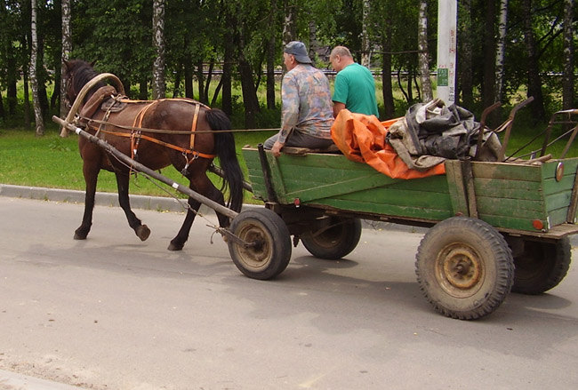 Ужасная фота, где лошадь тянет телегу!!!!!!Невзоровцы, пожалейте беднягу?!!