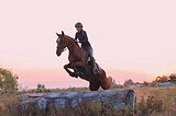 Универсальный пони-класс