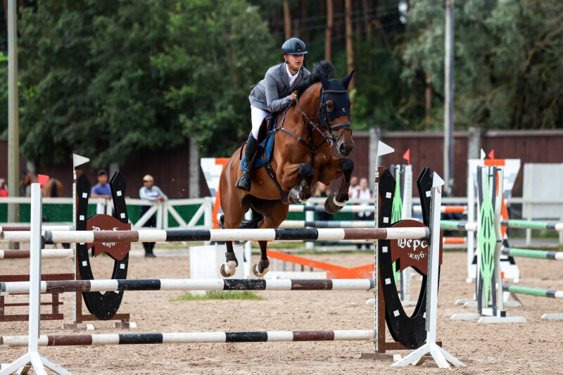 МЕДАРД М-12 и Пушкин Ярослав