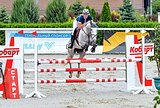 Кобыла под ребенка 1249