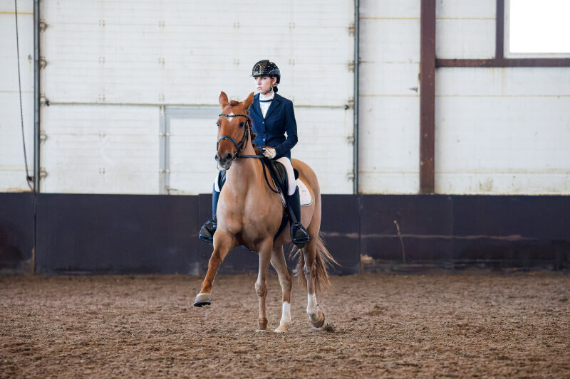 ИТТАН ЛАЙН-12 и Сеитумерова Сабина