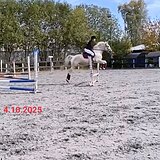 Енисей Елисеевич спорт.пом