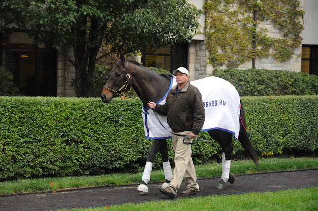 Ипподром Keeneland 2010 год.