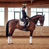 ИДЕАЛЕН ДЛЯ ЛЮБОГО ВСАДНИК