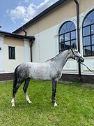 Кассима 2021г