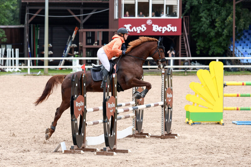 БРУСНИКА-15 и Бохман Валерия