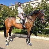 ПЕРСПЕКТИВНАЯ КОБЫЛА KWPN