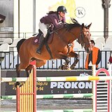 СТАРТОВЫЙ ОПЫТ ДО 145 СМ