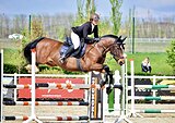 Маршруты 110см