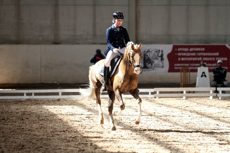 МИРАКУЛИКС и Данильченко Елизавета