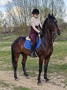 МЕРИН В ХОББИ/УПРЯЖЬ,АКТИВН