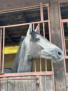 Гарри Поттер 