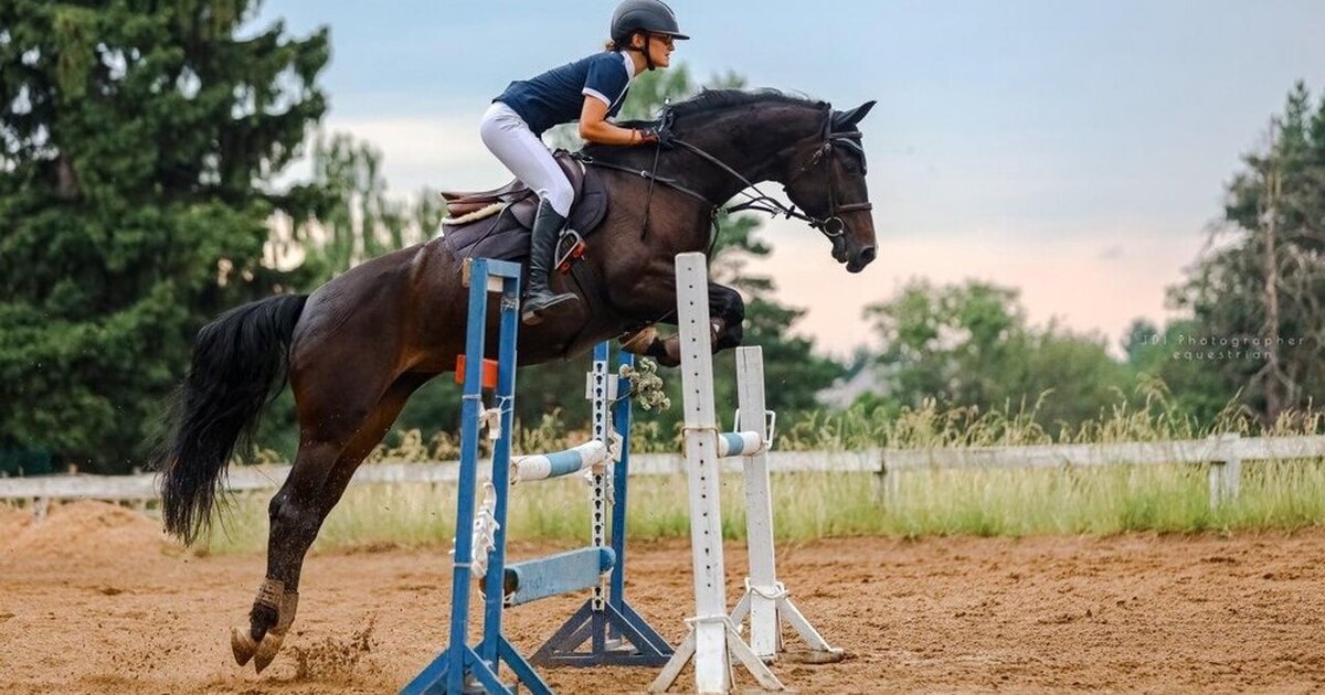 ребёнок 2 года не разговаривает картинки. ребенок не выполняет просьбы. упрямый ребенок. а зачем слушаться родителей?. как научить ребёнка слушаться родителей.