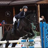 БУДЕННОВСКИЙ МЕРИН 6 ЛЕТ