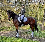 ПЕРСПЕКТИВНАЯ КОБЫЛА В ВЫЕ