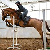 МЕРИН | МАРШРУТЫ 110 СМ