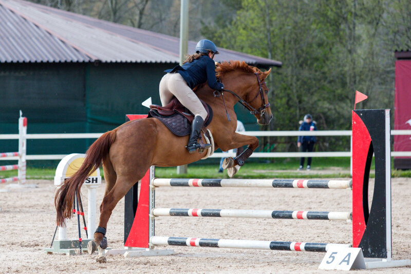 ШУМАХЕР-17 и Щербакова Татьяна