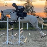 КОБЫЛА 170 СМ В ХОЛКЕ