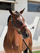 ЦЕНА ЗНАЧИТЕЛЬНО СНИЖЕНА