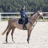 МЕРИН В КОНКУР • МАРШРУТЫ 70