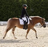 НЕВЕРОЯТНО КРАСИВЫЙ