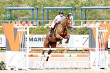 Кобыла 2017 гр, 166 вх