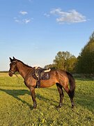 МАРШРУТЫ 90, ДЕШЕВО