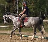 МАРШРУТЫ 70 • 1/2 ИМПОРТ 