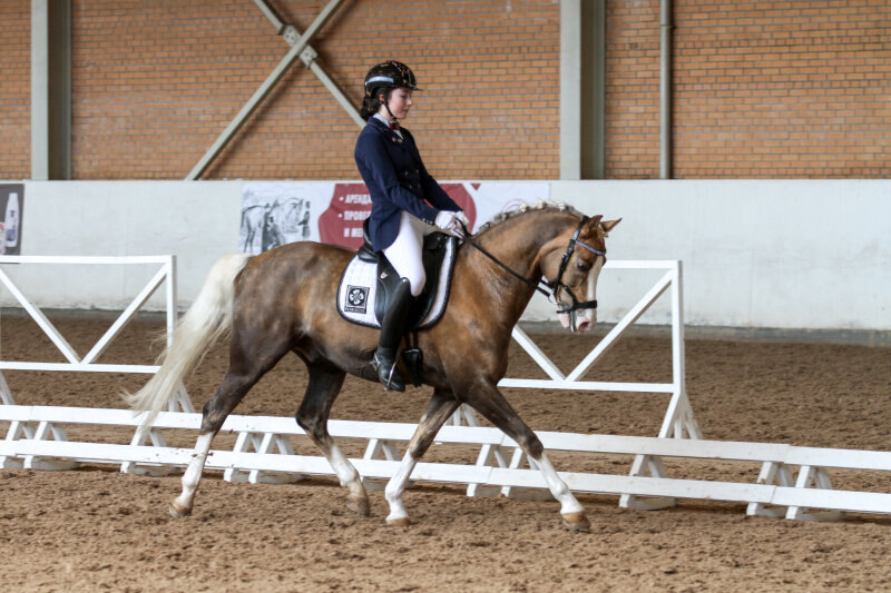 МИРАКУЛИКС и Данильченко Елизавета