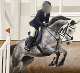 ИМПОРТНАЯ КОБЫЛА В КОНКУР