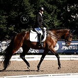 ИМЕЕТ ОГРОМНЫЙ ПОТЕНЦИАЛ 