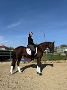 Старт 6-ти лет - 72.8% 