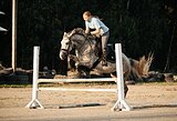 КОБЫЛА ПОД РЕБЕНКА