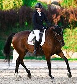 МАРШРУТЫ 110, СРЕДНИЙ ПРИЗ