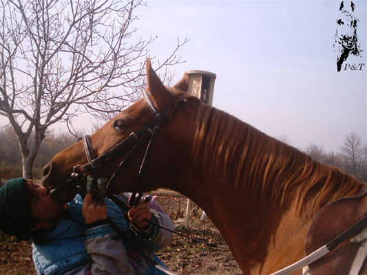 поцелуй