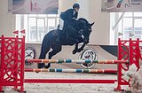 Учитель конкур до 120 см