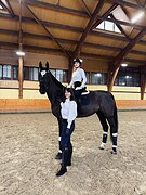 Персональные тренировки по выездке