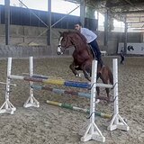 ПРЫГАЕТ ДО 110 СМ ДОМА