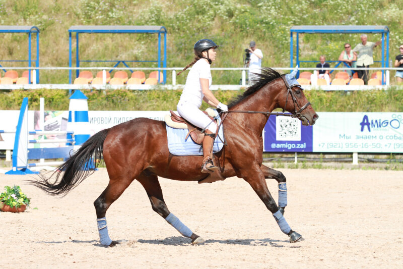 ВИДАЛЬ и Панина Юлия