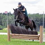 КОБЫЛА 7 ЛЕТ 165 СМ В ХОЛКЕ 