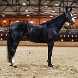 СТАРТОВЫЙ ОПЫТ ДО 130 СМ