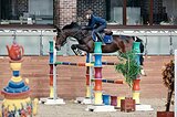 Кобыла 