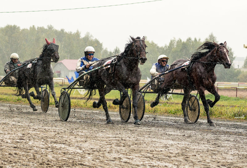 чемпионат Россия-Финляндия на Курганском ипподроме