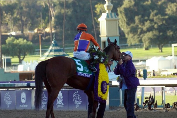 Ипподром Santa Anita Park 2013 год, скачка Breeders' Cup Distaff