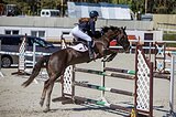 учитель в конкур на высоты